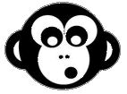 sarusurf logo